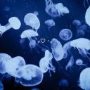 L.G.F.I.T.A Discord Server Banner