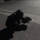 Petals & Moons Discord Server Banner