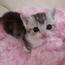 emmon Discord Server Banner