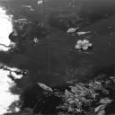 The Cursed Abyss Discord Server Banner