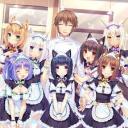 NEKOPARA TEEN ONLY SFW Discord Server Banner