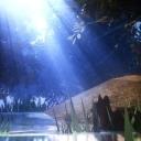 The Clans Divided Discord Server Banner