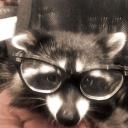 Rodent hangout Discord Server Banner