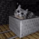 ❯❯ MIEZECRAFT ❮❮ Discord Server Banner