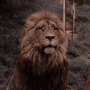 Aslan's Cave Discord Server Banner