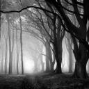 𝐋𝐨𝐬𝐭 𝐋𝐢𝐠𝐡𝐭 Discord Server Banner