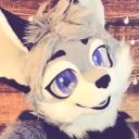 Wild Love Series Discord Server Banner