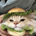 The Zone Discord Server Banner