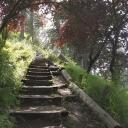 ╰╮   ╰↠  ᵐᵉᵒʷᵗᵒᵖⁱᵃ  ᓚᘏᗢ Discord Server Banner