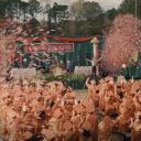 Current Visions Discord Server Banner