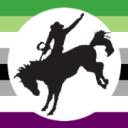 Aro Rodeo Discord Server Banner