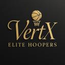 ᴠᴇʀᴛx ᴇʟɪᴛᴇ ʜᴏᴏᴘᴇʀꜱ Discord Server Banner