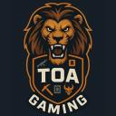 TOA gaming Discord Server Banner