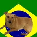 Comunidade Brasileira Discord Server Banner