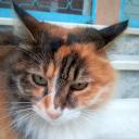 Kardeşlik Discord Server Banner