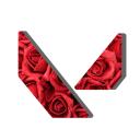 The Nice Side of Valorant Discord Server Banner