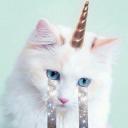 𓏲┆pastel party !🩵 ༄ Discord Server Banner