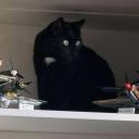 server.exe not found Discord Server Banner