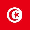 TunisiaPixel Discord Server Banner