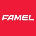 FAMEL19 Discord Server Banner