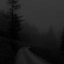 Wickles Discord Server Banner