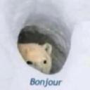 Hibernation Den Discord Server Banner