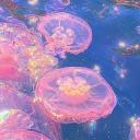 !   ★﹒ jellee ﹐✶ ⌗SUMMER 🌊 Discord Server Banner