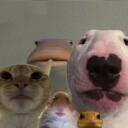 THE GANG🥷 Discord Server Banner