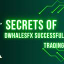 DwhalesFx Discord Server Banner
