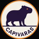 CAPIVARAS Discord Server Banner