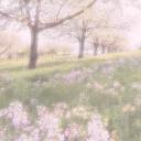 pastel realms Discord Server Banner