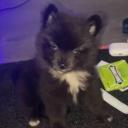 Luhzas SHOP Discord Server Banner