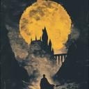 Harry Potter: Ashes of the Moon Discord Server Banner
