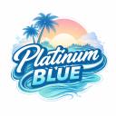 Platinum Blue Discord Server Banner
