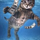 EconCat Community Server Discord Server Banner