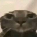 💤⭐ Hangout hub ⭐💤 Discord Server Banner