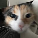 Sappho Nights Discord Server Banner