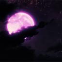 🌙 Anime's [] Night Discord Server Banner