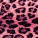 ebony room 18+ Discord Server Banner