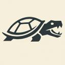 Snapping Turtles Trading Discord Server Banner