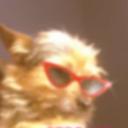 ?Sæm’sĆlub? Discord Server Banner