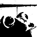 Frogs Discord Server Banner