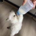 Yacine Discord Server Banner