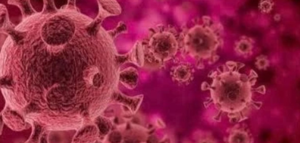 Virus HPV từ đâu mà có