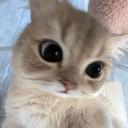 Pwiuu Discord Server Banner