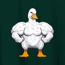 Ducks army🦆 Icon