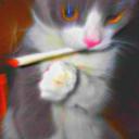 TSP Panel Discord Server Banner