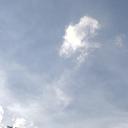 🎪 The Velvet Carnival Discord Server Banner