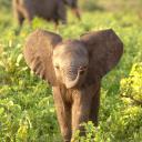 OverLords Discord Server Banner