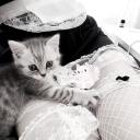 Evil oaf Discord Server Banner